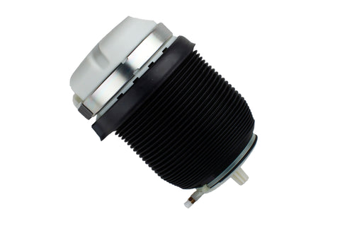 Bilstein B3 Rear Coil Spring (40-281216) - Audi A6 C6AM